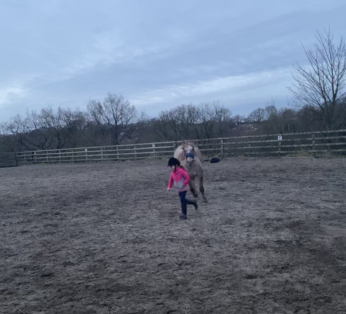 Phillips27Helen's tweet photo. @StJamesYear3 #WindywalkwithLexiandDaddy #hackonDexter #Miasweekend #followtheleaderwithMusty https://t.co/zDWrqgI3o8