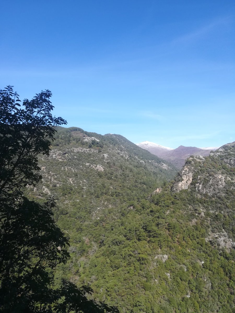 #yabandabizimvatandabizim