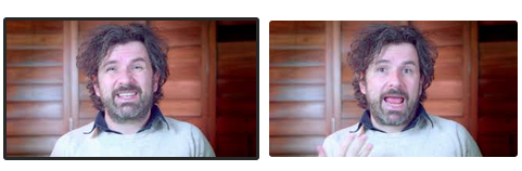 Quarter-Italian Sean Springer tweet media