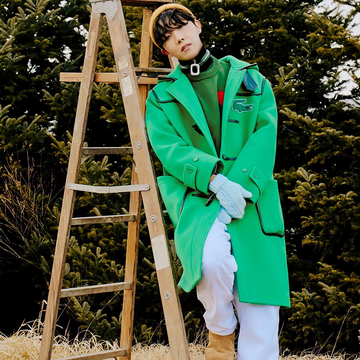 iflost_playBTS's tweet photo. #NewProfilePic #HOBIUARY https://t.co/bDxJO6R9Wh