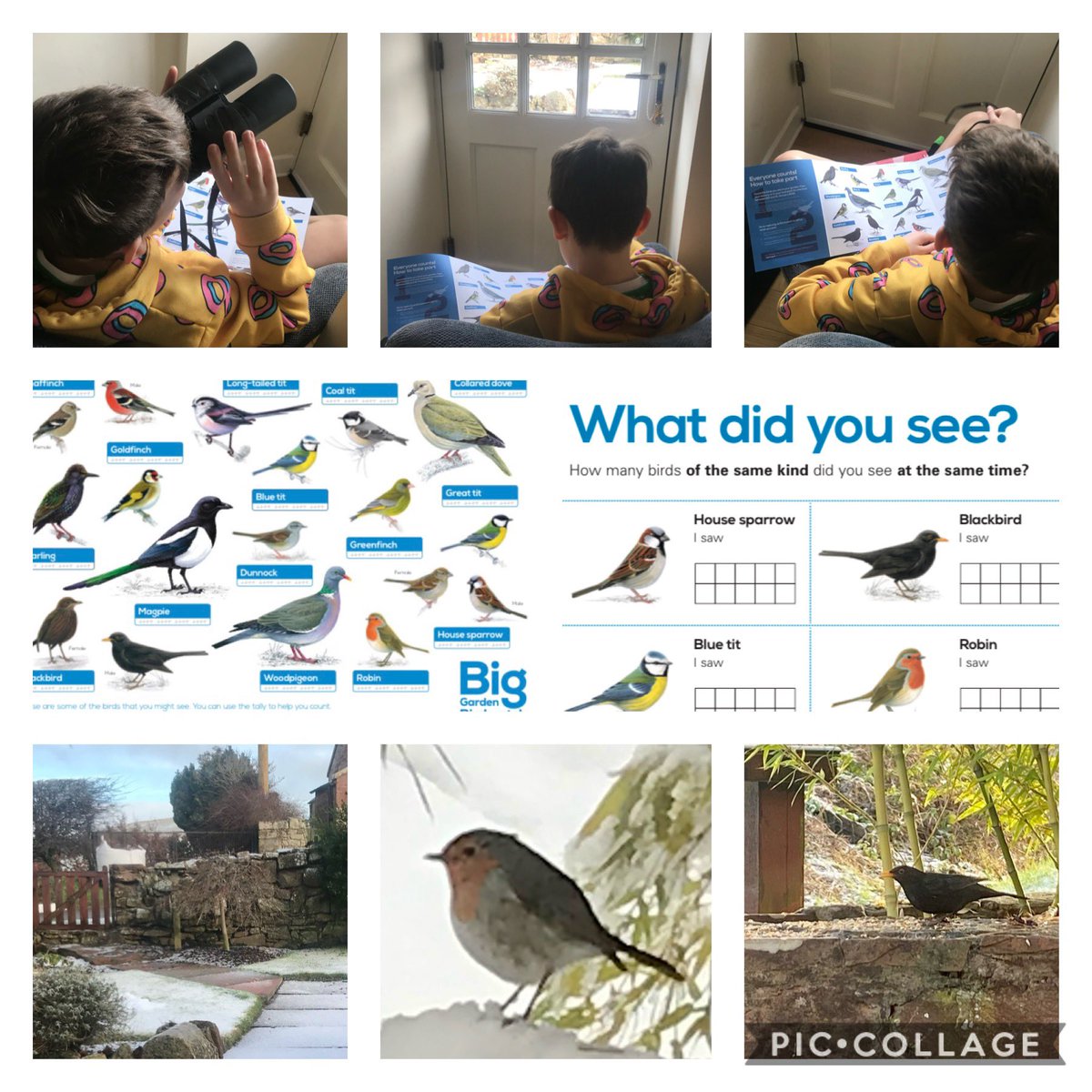 humlepie's tweet photo. @Jamie60645114 spent his morning doing the #greatbritishbirdwatch @Natures_Voice busy wee table today. Lots of visitors to keep an eye on.  @StentonPrimary challenge complete✅ https://t.co/QLMwTWfDqQ