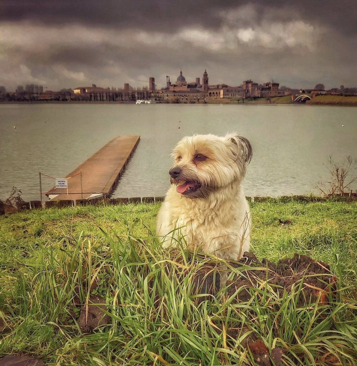 igmantova's tweet photo. Skyline da Campo Canoa

Ph. Lucadel69 

https://t.co/faWU9lEzHN https://t.co/1uv2RUudD5