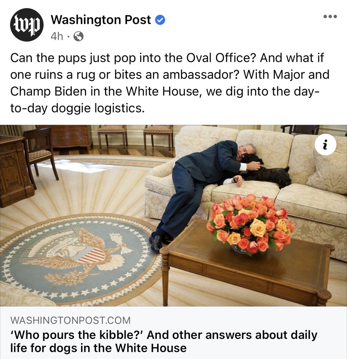 JudiciaryGOP's tweet photo. The Biden Administration considered vaccinating terrorists at Guantanamo Bay, while thousands of teachers waited in line for a shot.

But don’t worry. Here’s a story about President Biden’s dogs. https://t.co/wvo2EsGNHR