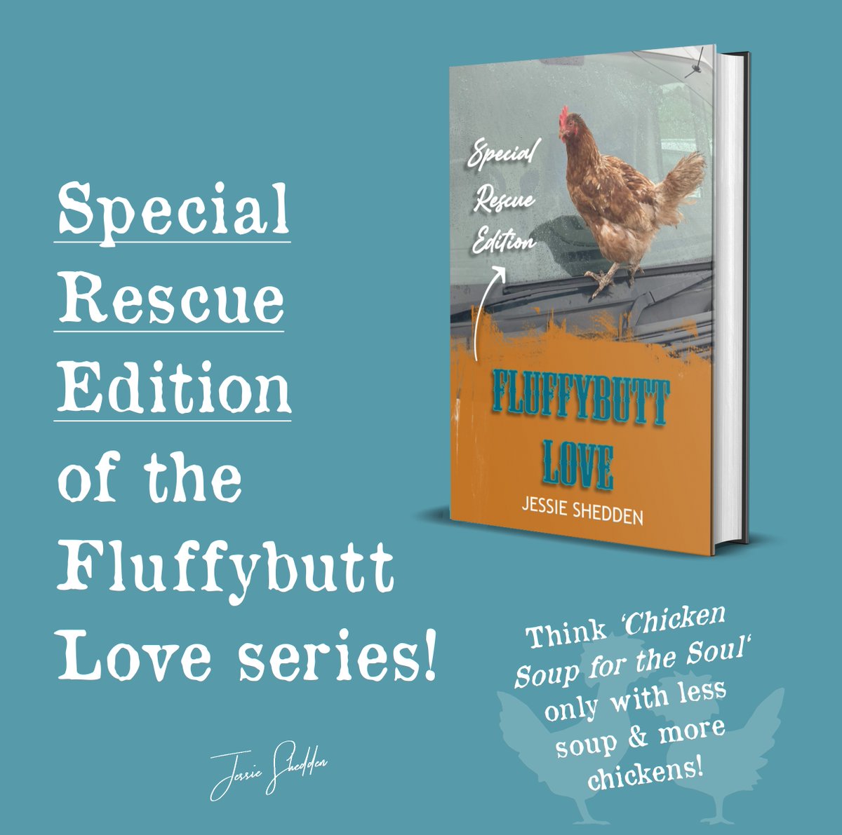 @FSFH_Official thank you! So stoked to be creating this Special Rescue Edition of Fluffybutt Love book series for you and send funds back to your incredible work!

#chickens #rescuechickens #charity #fsfh #hens #poultrykeepers #ExBatts #poultry #farm #pets #animals