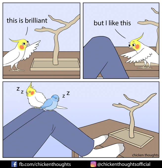 Human is the best perch 