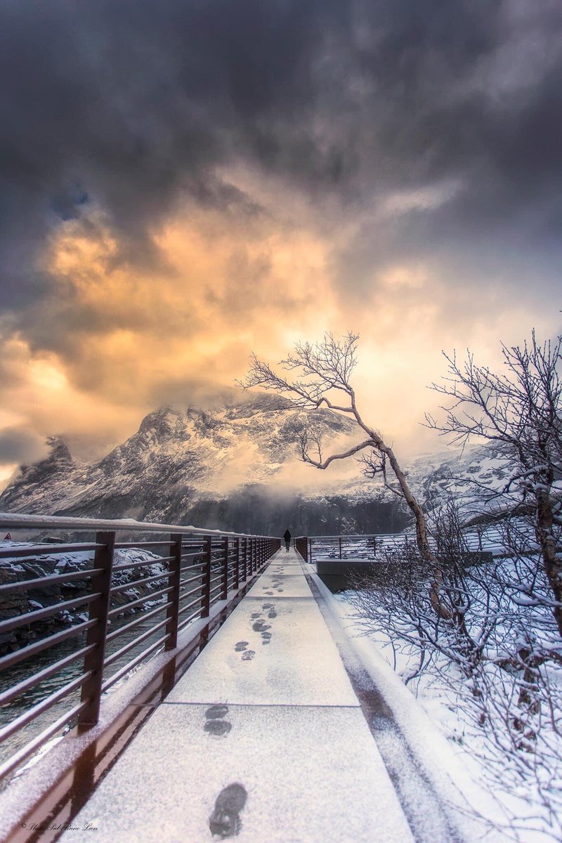 prlien_photo's tweet photo. Trollstigen https://t.co/L6nbmIaq4p