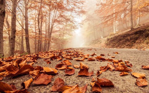 AlsamtA1's tweet photo. .

                   🍂

..

العيون  اللي  شكت جمرة  سهرها
من  جفاف  الوصل  متعبها  الارق

ودي اطوي صفحتـه  وامحي اثرها
ومع  هبوب  الريــح ب نثرها  ورق ..✨

..

#الصمت_✍🏻

           _______________________ https://t.co/ZO2ai95viK