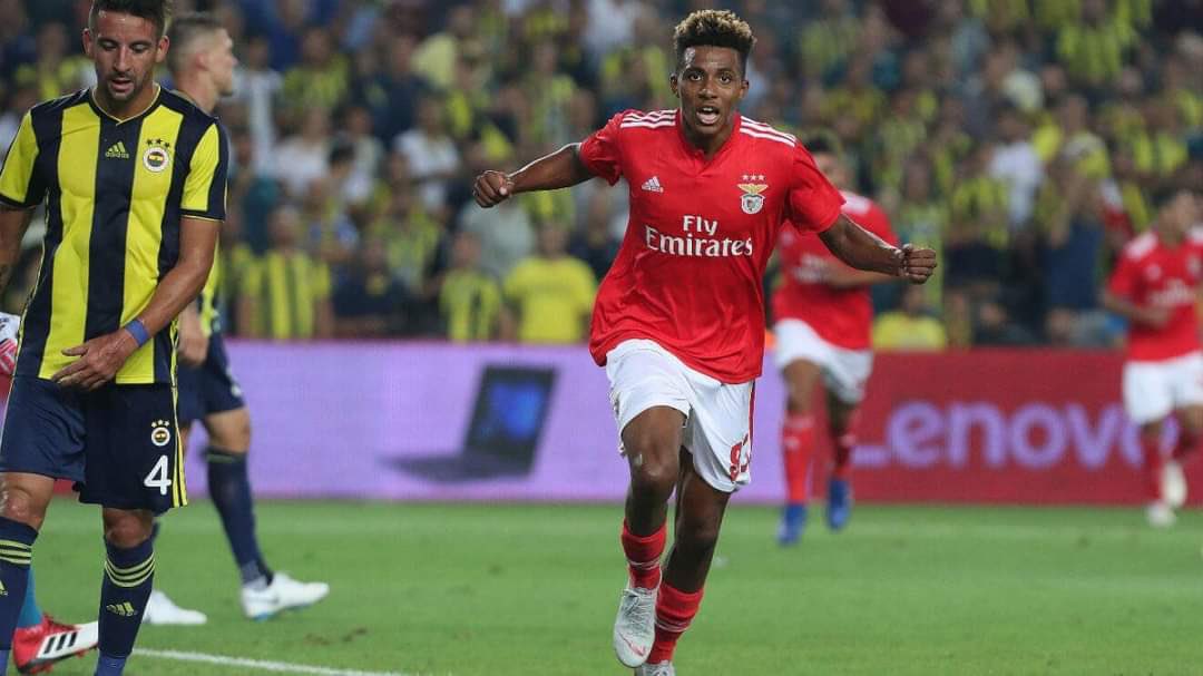 RasimOzan_K's tweet photo. Transferin kralını Galatasaray yaptı.
Galatasaray böyledir. Sağ gösterir sol vurur. Siz kahve için bol bol. Unutmayın Gedson Fernandes Kadıköy’ü sever :) https://t.co/fgm3HgiPKJ