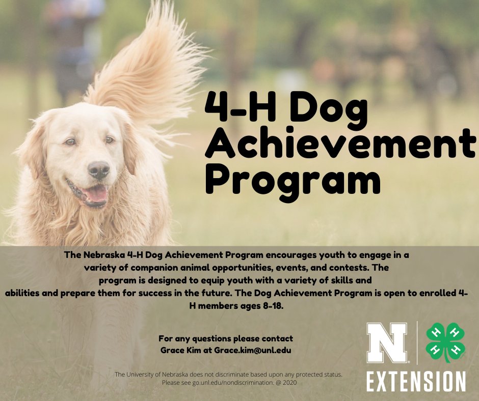 Nebraska4H's tweet photo. The #NE4H Dog Achievement Program is a NEW opportunity for members. This new program encourages youth to engage in a variety of companion animal opportunities, events, and contests as they progress through four achievement levels. https://t.co/XxFo2Sy29l https://t.co/WcS8xUfz2J