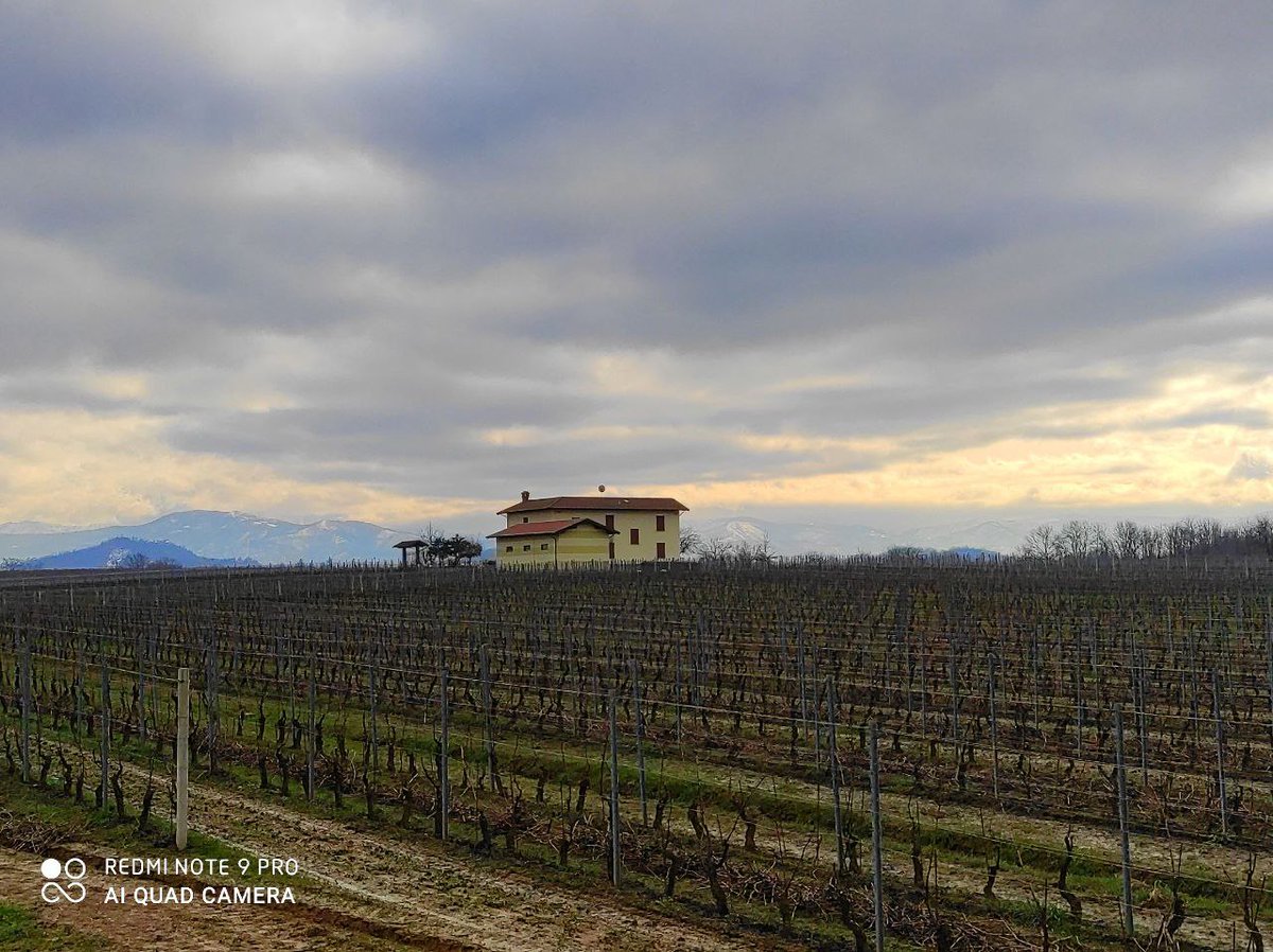 ETROFACCOR's tweet photo. In attesa della #zona #gialla sull'altopiano di #Capriata d'Orba... https://t.co/VxXKk4LAiI