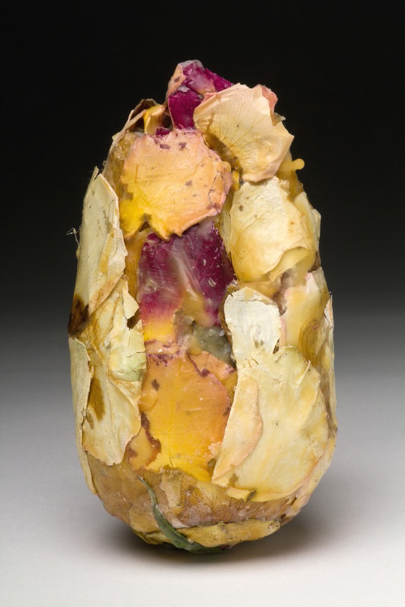 ok_girlfriend's tweet image. Unlike other bee species, Osmia avosetta is a solitary bee that doesn't have a colony to help it raise its young. So instead of building hives, they craft tiny 'cocoons' from flower petals to protect their eggs. Each cocoon holds just one egg