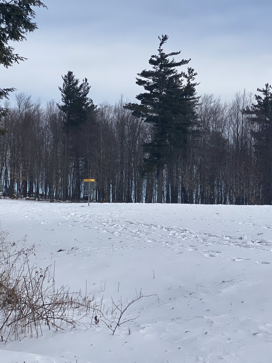 CohanRob's tweet image. Little disc golf in the snow this morning