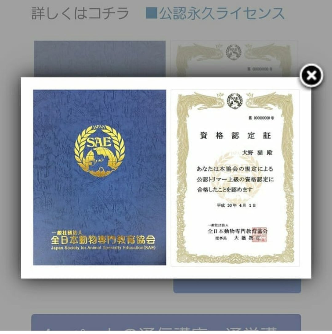 全日本動物専門教育協会