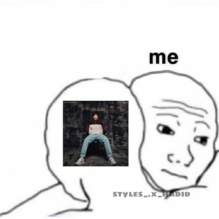 gutierrezmorii's tweet photo. Todxs lxs louies en este momento:
#WALLS350M #1YearOfWalls #TeamASide PROUD OF LOUIS #WallsOlympics #LouisTomlinson Louie https://t.co/ySkxt4oCKl