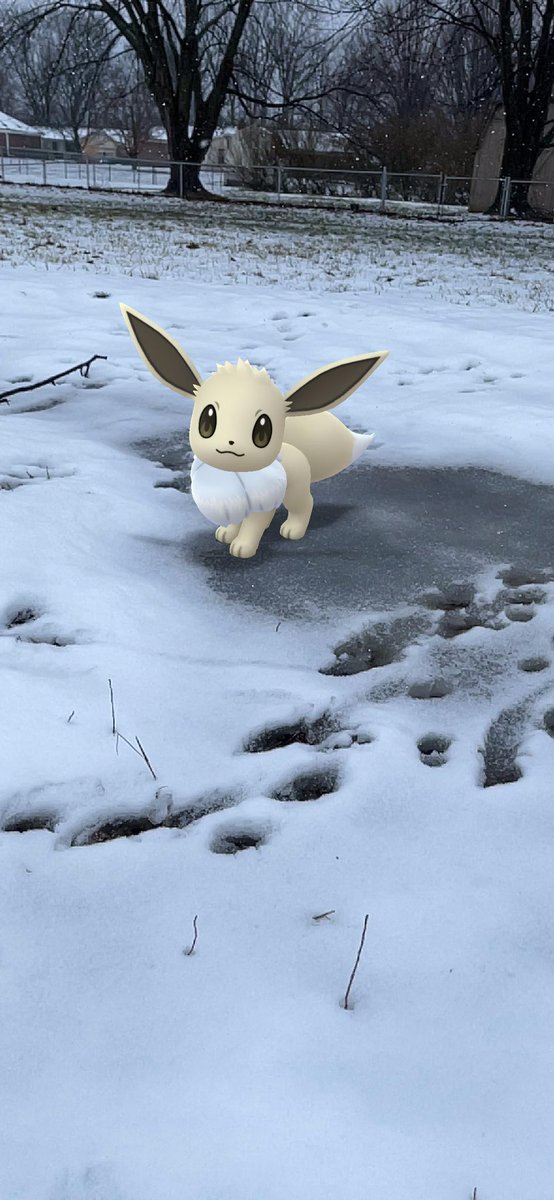davoolson's tweet image. Shiny Eevee chilling in the snow ❄️