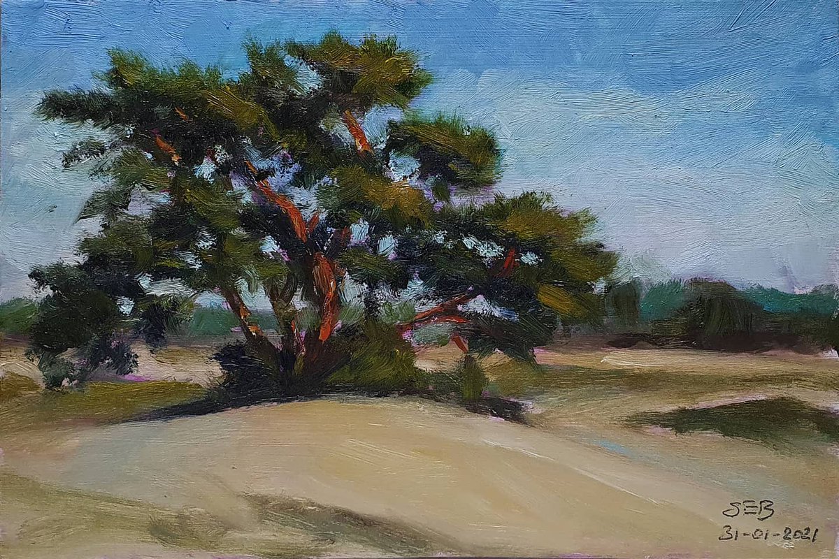 manuelboonz's tweet photo. Zondagmiddag 31-01. Aan het werk op het #Kootwijkerzand. Dit is nr.37 in de serie! #olieverf op #paneel,  20 x 30 cm.
En wat was het koud! ;-)
#oilpainting #pleinair #landschap #kunstwerk 
https://t.co/IJ3AgpqiqE https://t.co/rbxMwuNJPk