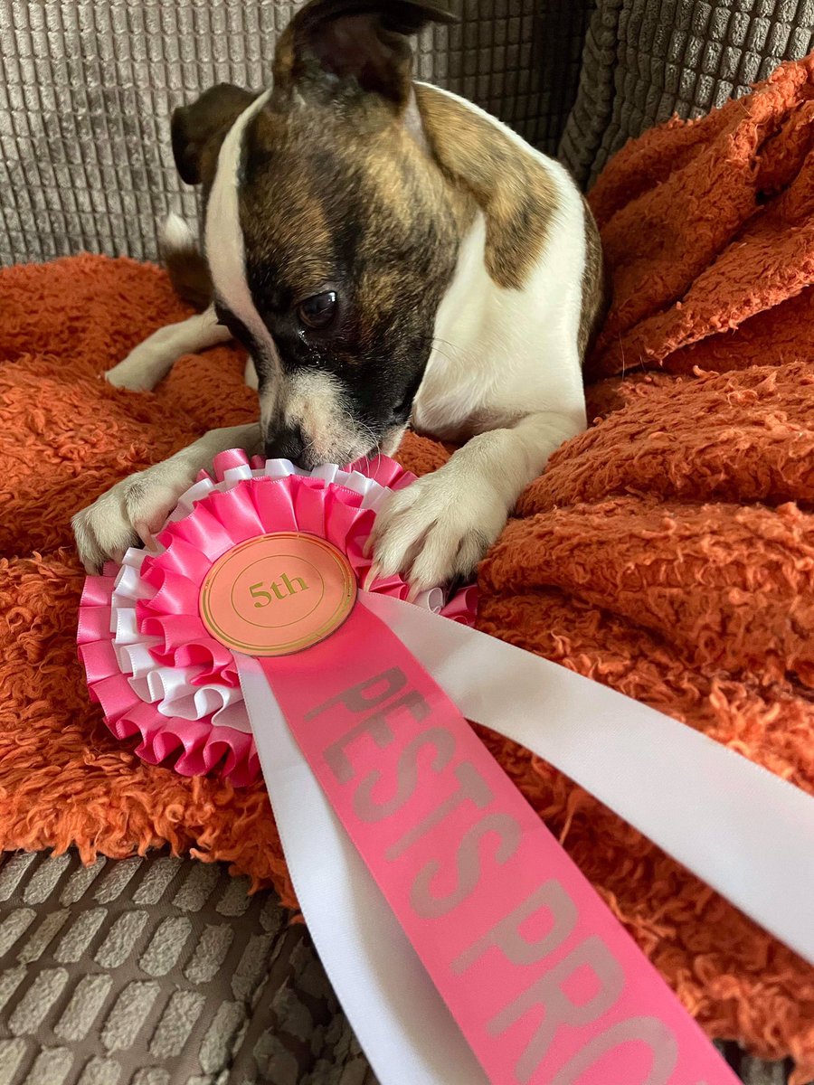 Here's Albus! What. A. CUTIE PIE 😭💕