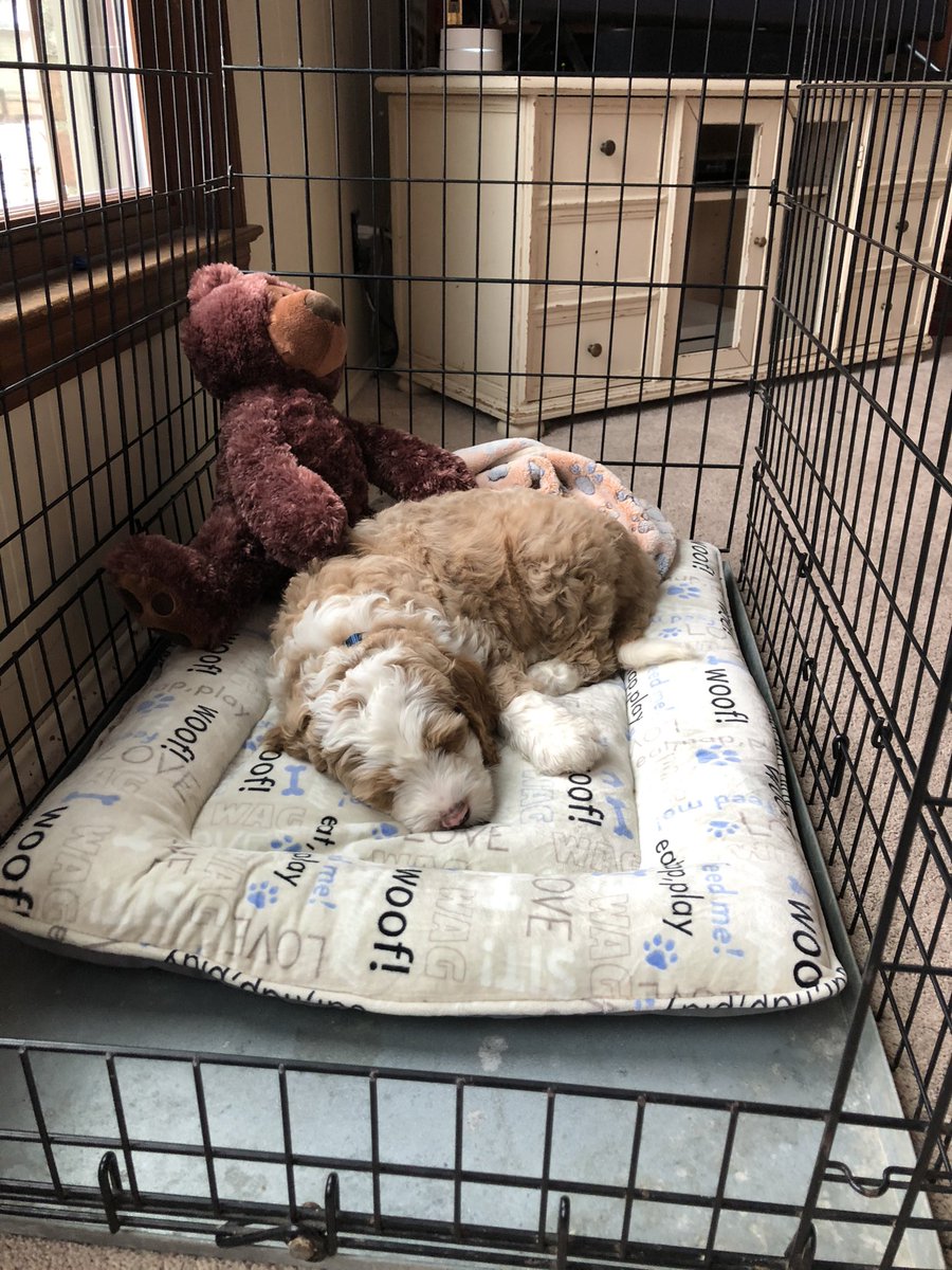 Tim Metzner tweet media