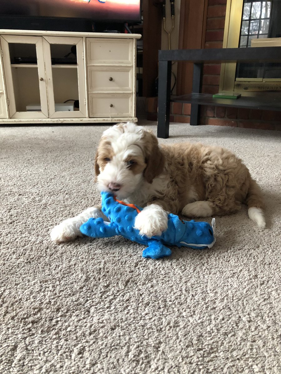 Tim Metzner tweet media