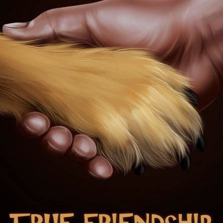 JosieWhippet's tweet image. 