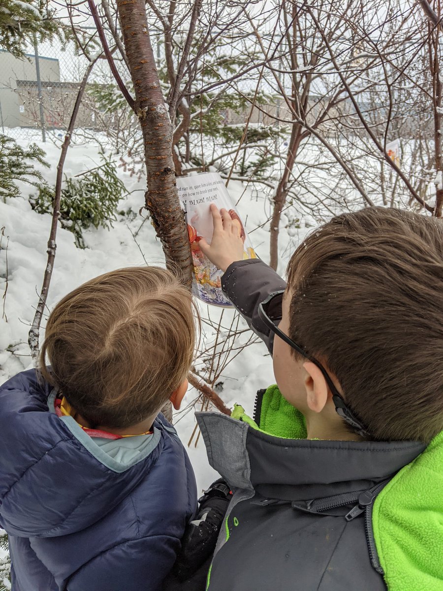 mmenicolebarela's tweet photo. Reading Too Many Books in our outdoor classroom was one our many favourite activities for #familyliteracyday @beachycoveelem #nlesdlit #outdoorlearning https://t.co/9cCNt7MXoW