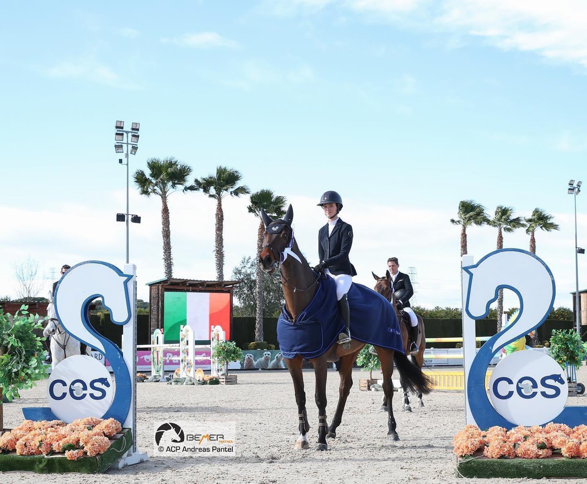 Susan_Fitz15's tweet photo. CBI Keatingstown Victory wins the 7yo Final week 1 of CES Valencia 🇪🇸 https://t.co/V5QGAY9jK9