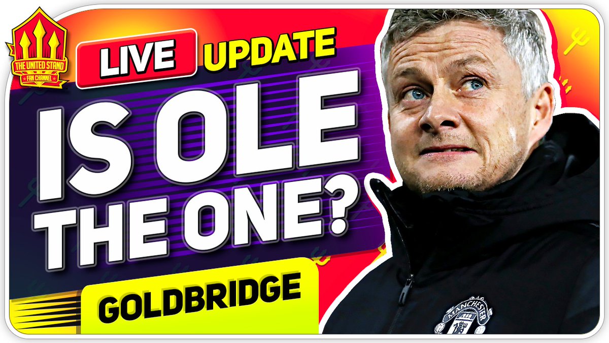 Mark Goldbridge tweet media