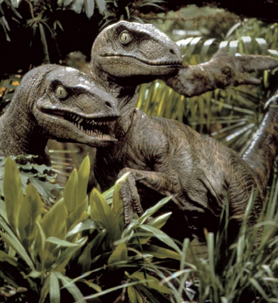 Viendo por n-ésima vez una de las secuelas de Jurassic Park, me encontré pensando que nunca hablé de uno de los bichos peor representados de la saga. No, no es _Baryonyx_ ni _Dimorphodon_. Me refiero a esa cosa que llaman _Velociraptor_. Y sale hilo de  #ComunicaCiencia