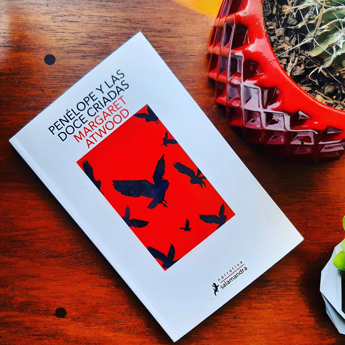 JamletInculto's tweet photo. ¿Qué están leyendo? 

Nosotros estamos con este maravilloso libro: Penélope y las doce criadas de #MargaretAtwood 

#libros #librosrecomendados https://t.co/bAyfZ7x941