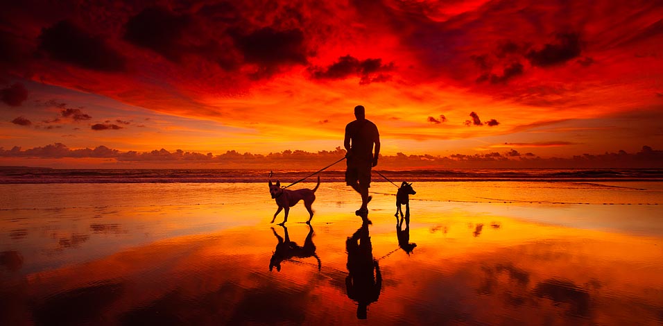 Sólo hace falta una cosa para cambiar tu vida: un juego de culto. #GGJ21