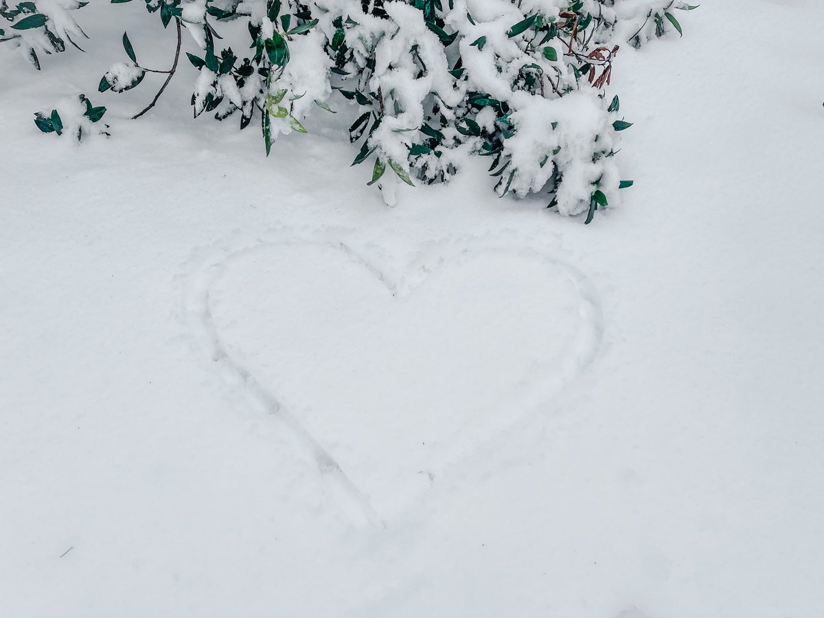 TheProfKelly's tweet photo. There’s something so special about waking up to a snow-covered world. ❄️ ♥️ #RVA #snowday https://t.co/4xxTxC0Yzr