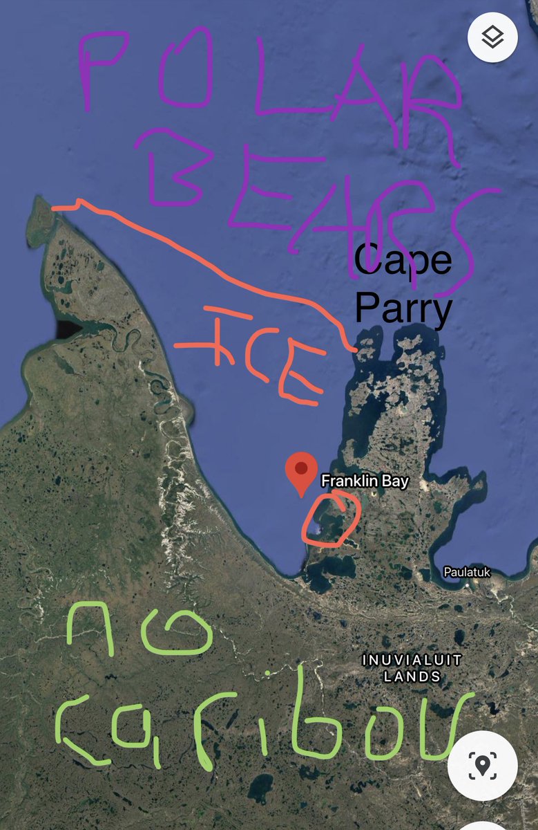 Travis_Statham's tweet photo. One thing I loved doing when reading about explorers is to look up where they went on google maps. Look how perfect #Stefansson’s description was. The deep bay and all. #MyLifeWithTheEskimo on https://t.co/75lBEujDx4 page 71 https://t.co/Ika8jwu2b9
