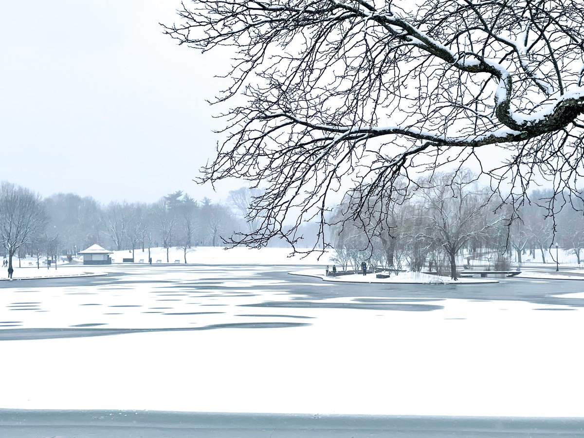 Beautiful snowy day in DC! <a href="/capitalweather/">Capital Weather Gang</a> <a href="/camdenwalker/">A.🤓Camden🌦Walker🤳</a> <a href="/amelia_draper/">Amelia Draper</a>