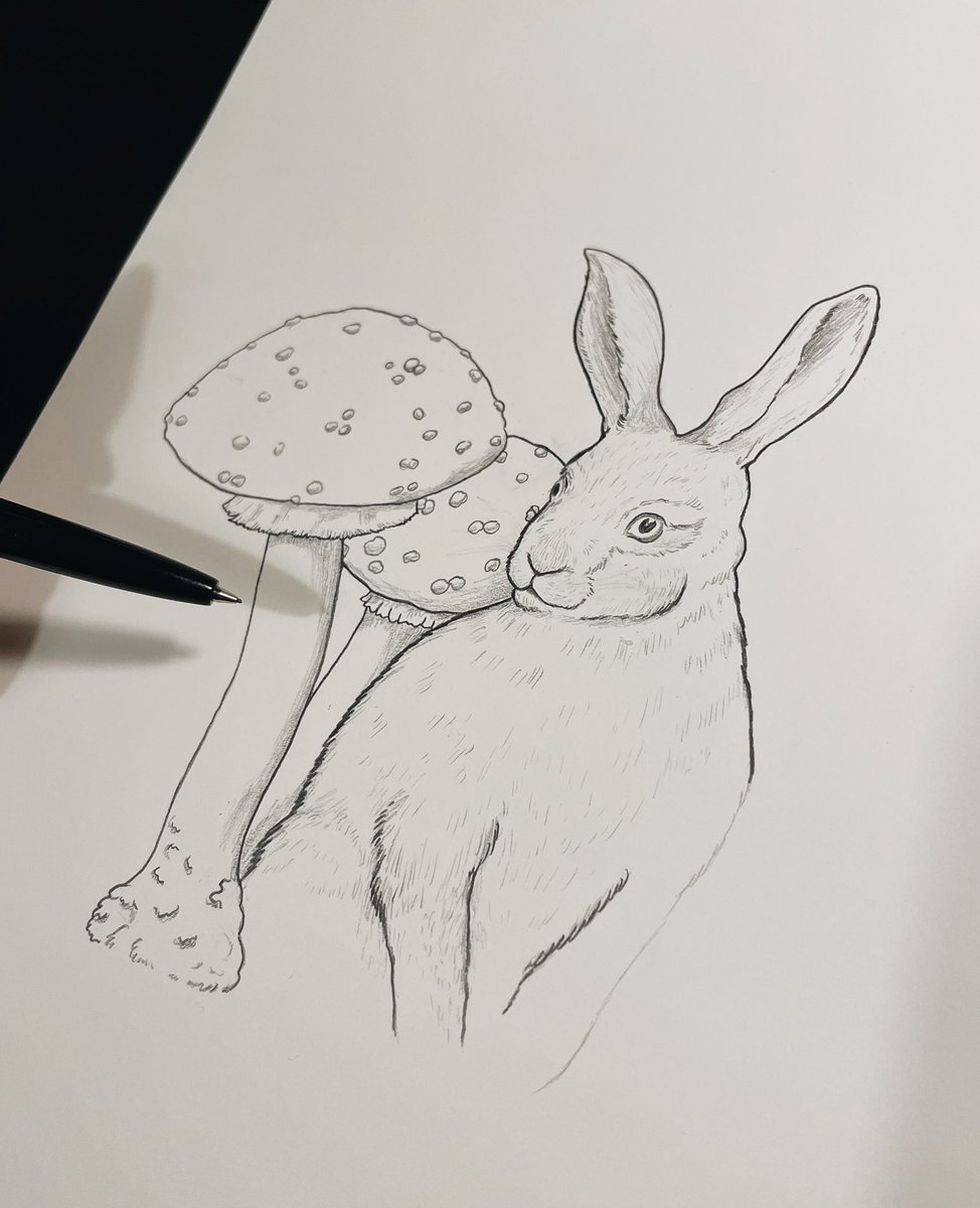 work in progress ~
🍄
#hare #mushrooms #shroom #forestmagic #forestvibes #sketchbooks #sketches #pencilsketch