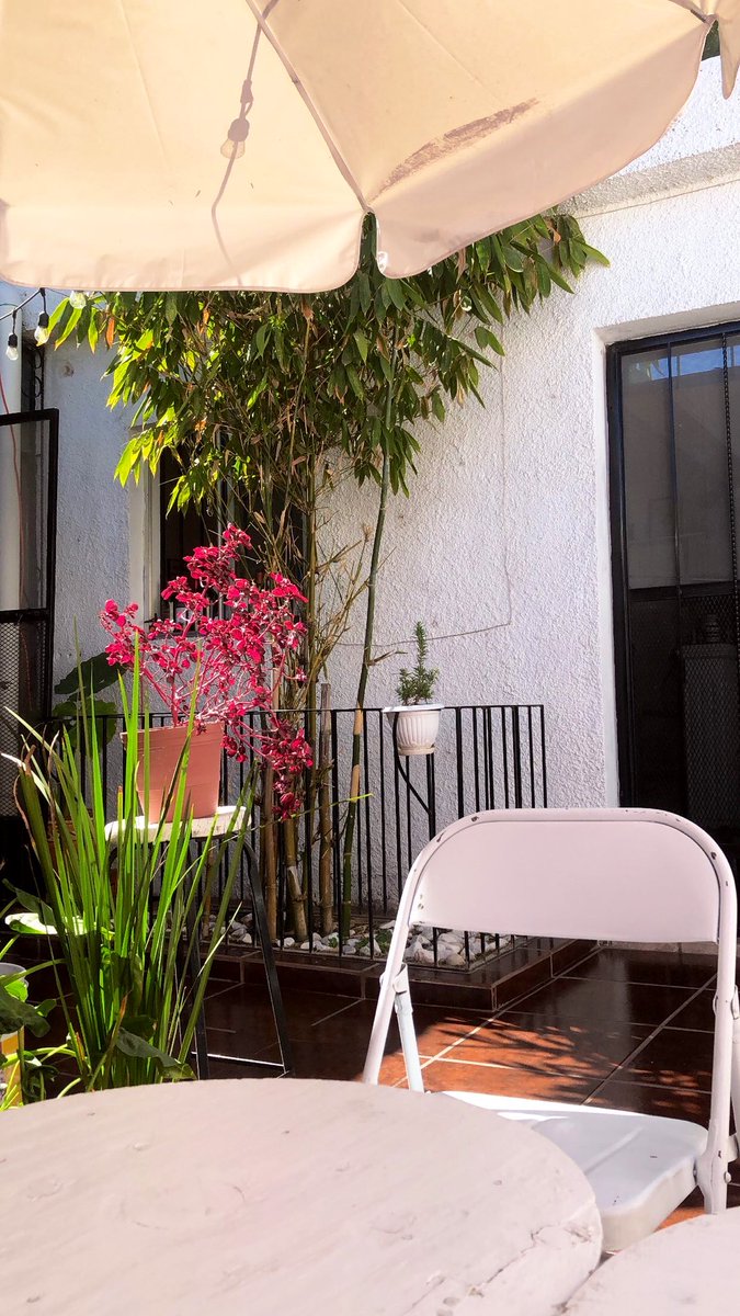 Alain_Rivera's tweet photo. Patios listo ✨ https://t.co/IjwAvOmhGT