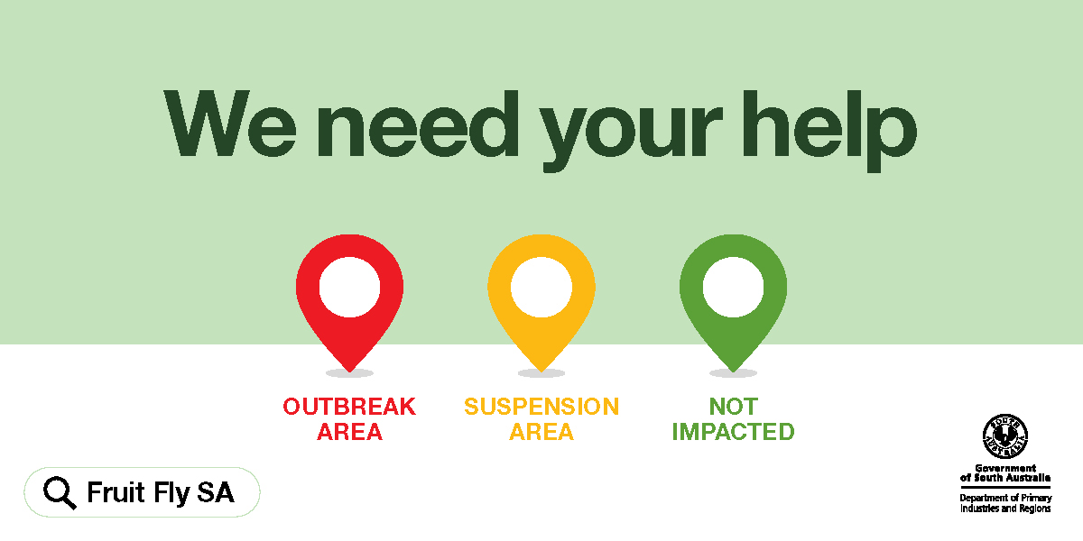SA_PIRSA's tweet photo. Metro #Adelaide and #RenmarkSA, help protect South Australia from fruit fly! Find out if you are in a #FruitFly affected area, and what you need to do if you are. https://t.co/codPeosGqJ  #FruitFlySA #Riverland https://t.co/rFpuQc0qA0