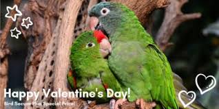 January 2021 Newsletter conta.cc/3cninvH