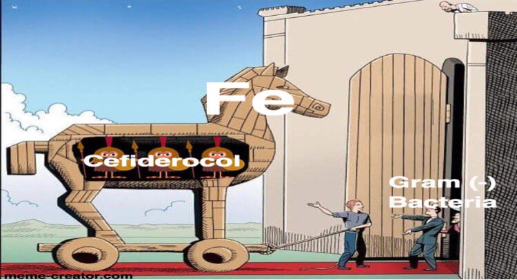 (3/11) The siderophore sidechain complexes with Fe+ to smuggle the cephalosporin across the bacterial membrane  This “Trojan ” circumvents porin channel changes that cause β-lactam resistance 