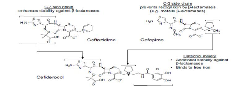 (2/11) Let’s explore the newest cephalosporin on the block  cefiderocol (Fetroja™) - a 1st in class synthetic β-lactam = cefepime + ceftazidime + siderophore  https://pubmed.ncbi.nlm.nih.gov/30712199/&nbsp;