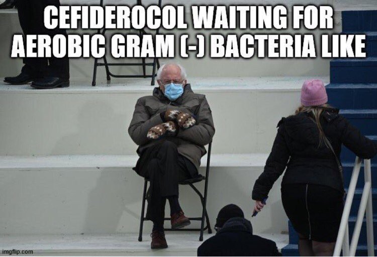 (6/11) Gram positive and anaerobic bacteria leave cefiderocol out in the cold  as active ferric uptake via siderophores is mostly unique to aerobic gram-negative bacteria  https://aac.asm.org/content/62/1/e01454-17