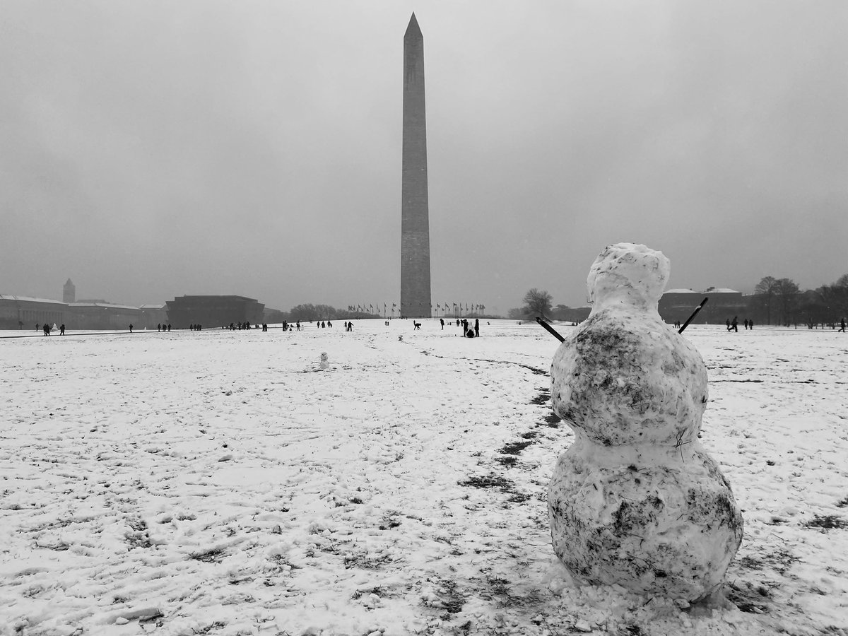 For not having snow in a bit, DC snow sculpting on the National Mall is on point

#snow #sundayvibes #WinterReadyDC