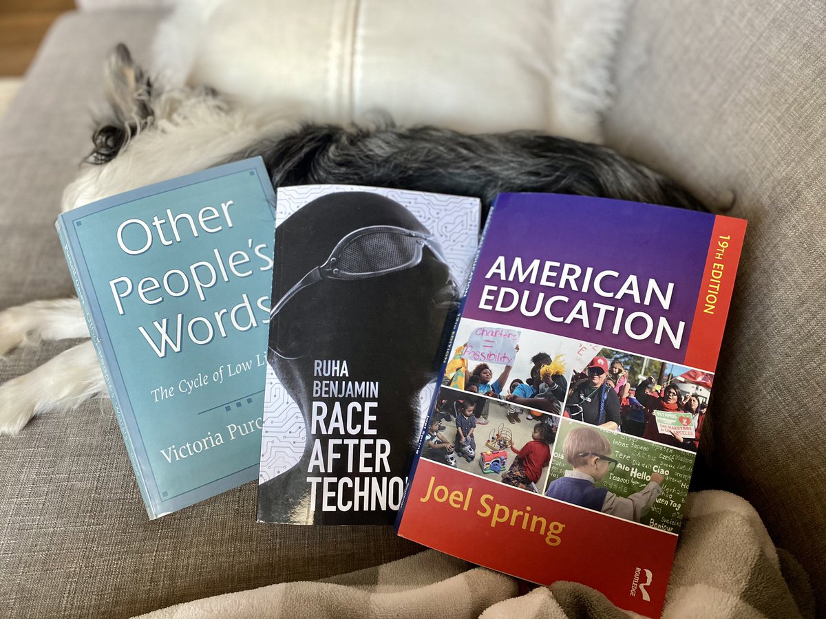 Meredith Lee tweet media