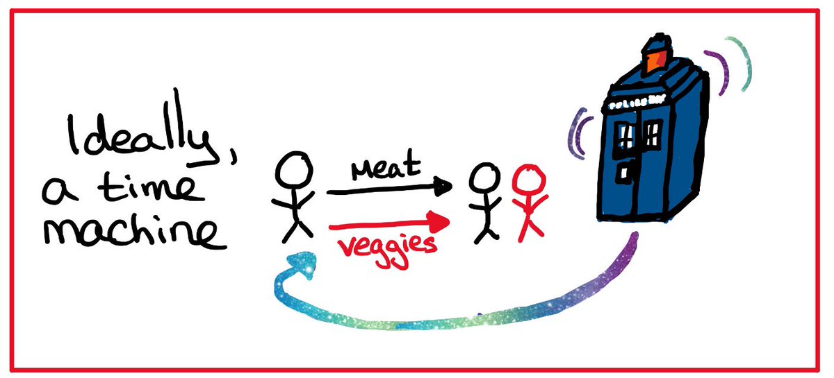 Say we wanted to know how many fewer people would have heart attacks if everyone was vegetarian compared to if everyone ate meat. If we had a time machine, we could feed people one diet, see what happens, and then go back & do it over with the other diet.