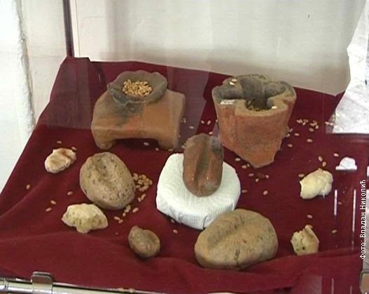This required significant innovations in farming technology previously adapted to a mediterranean climate. Leading temperate agriculture revolution was the Starčevo culture which built Blagotin settlement in Serbia around a temple dedicated to grain:  http://oldeuropeanculture.blogspot.com/2015/03/blagotin.html