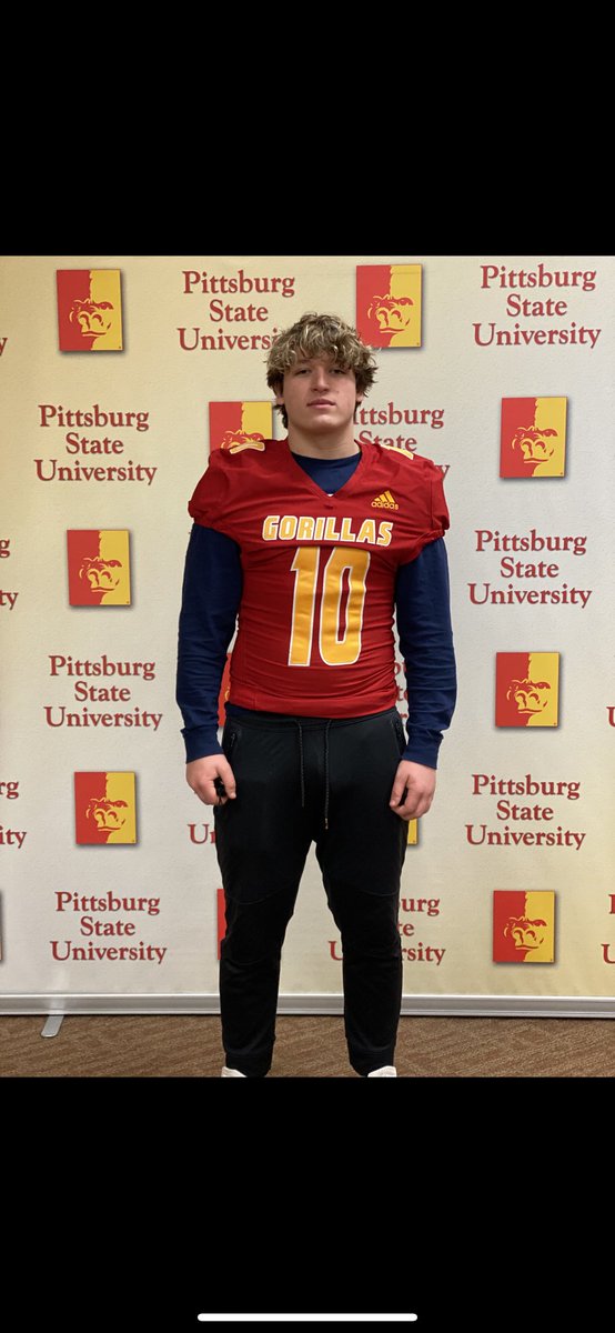Committed🔴🟡 go #gorillas