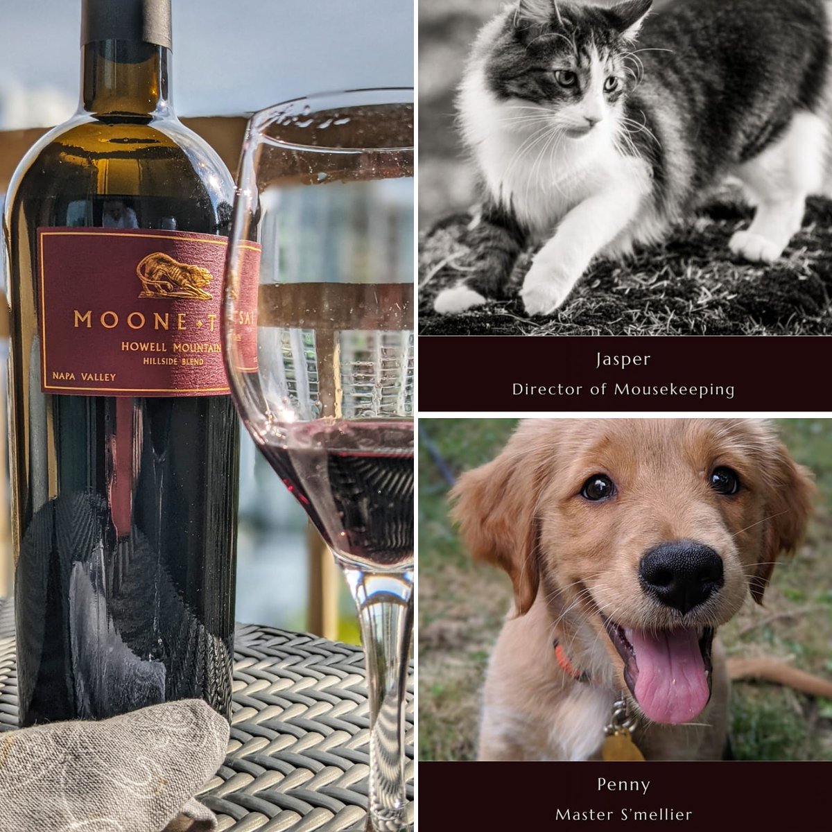 #whatsjennefferdrinking Hello beautiful lady - <a href="/MooneTsai/">Moone Tsai Wines</a>. This 2016 #Napa #wine from Howell Mt. is intense dark fruit, incredible structure, delicate leather, &amp; elegant richness, yet balanced. Worth the investment.  RELAX. And, they are animal partners. Cheers. #cats  #puppy