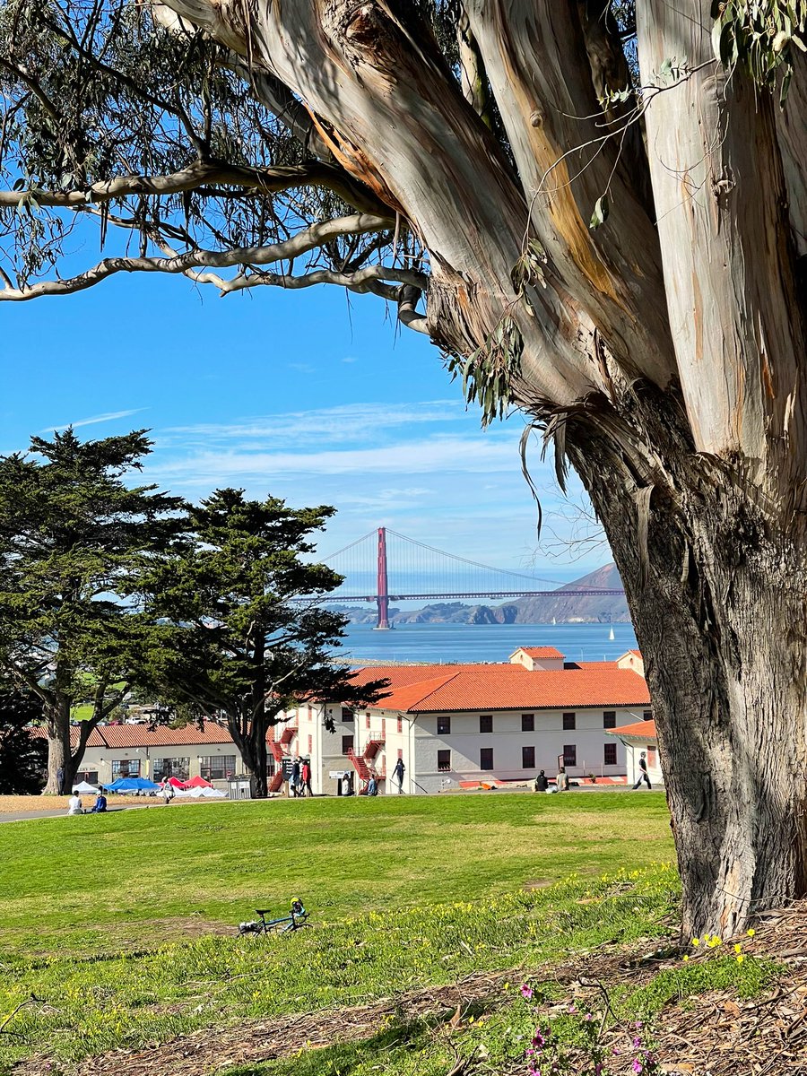 micheal's tweet photo. Beautiful 🔆 morning here in SF. https://t.co/uU2o5xDJLz