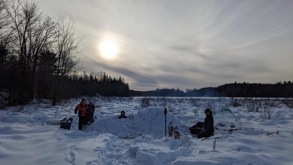 Darren Sissons tweet media