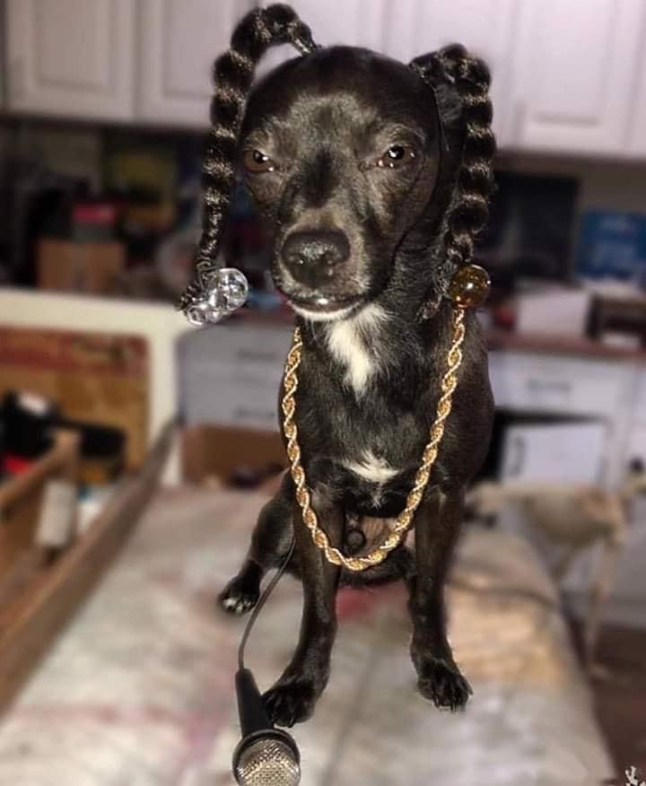 ordurebizarree's tweet image. 