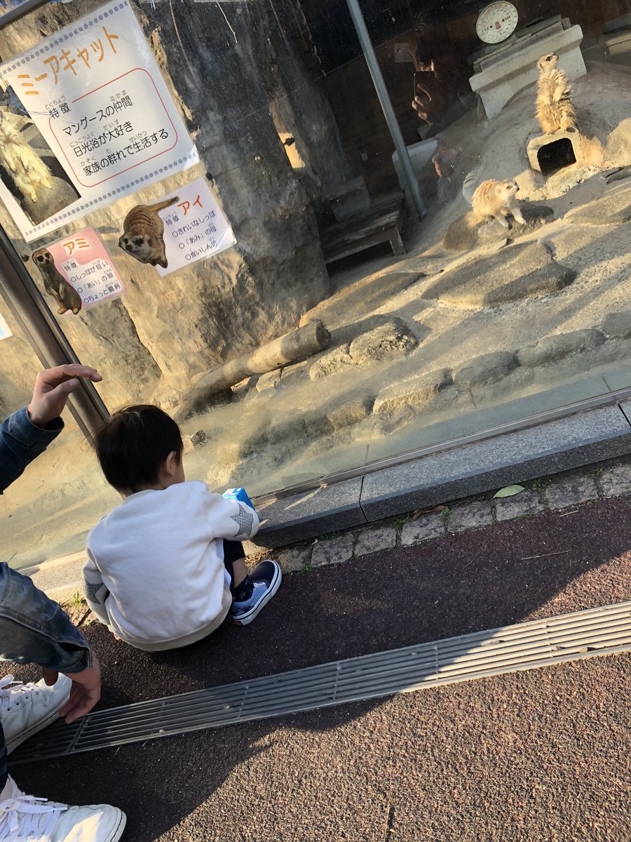 h___h88's tweet photo. 今日で蒼2歳！！！
めっちゃはやいなぁと！
これからもすくすく大きくなっていってほしいね！！ https://t.co/dqkAF5yDgl